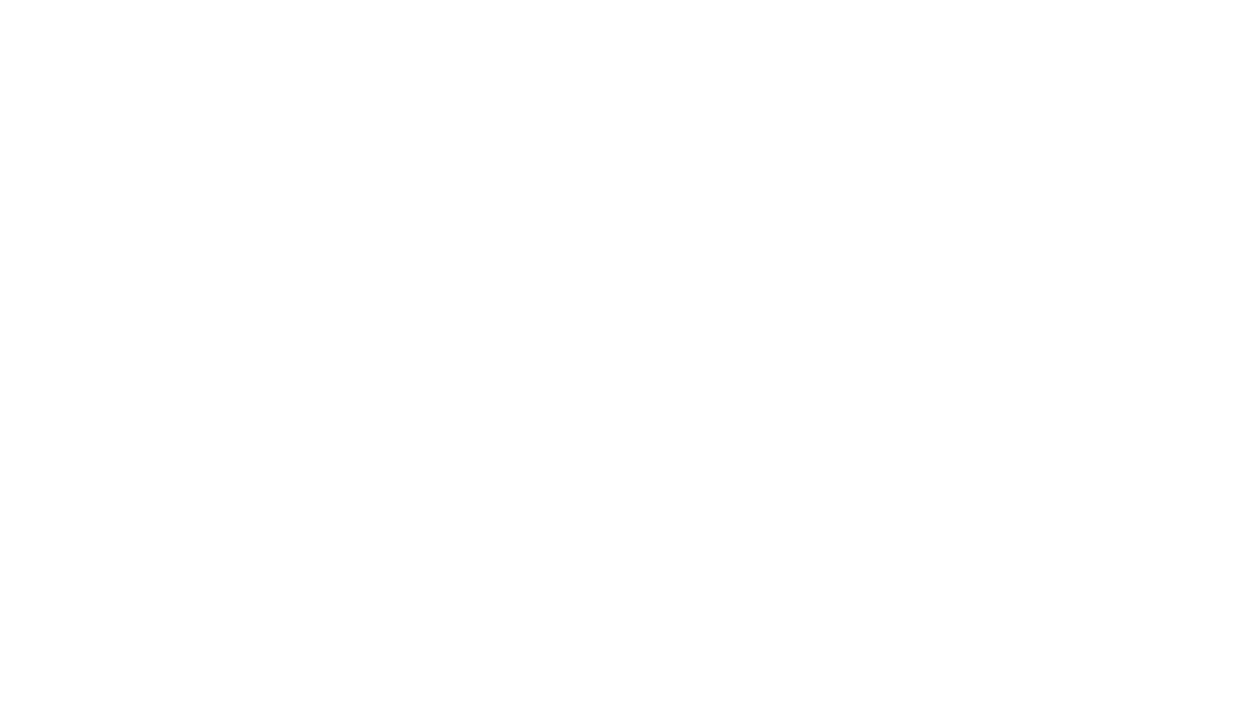 spreeparadie logo white